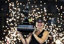 的温布利球 的温布利球